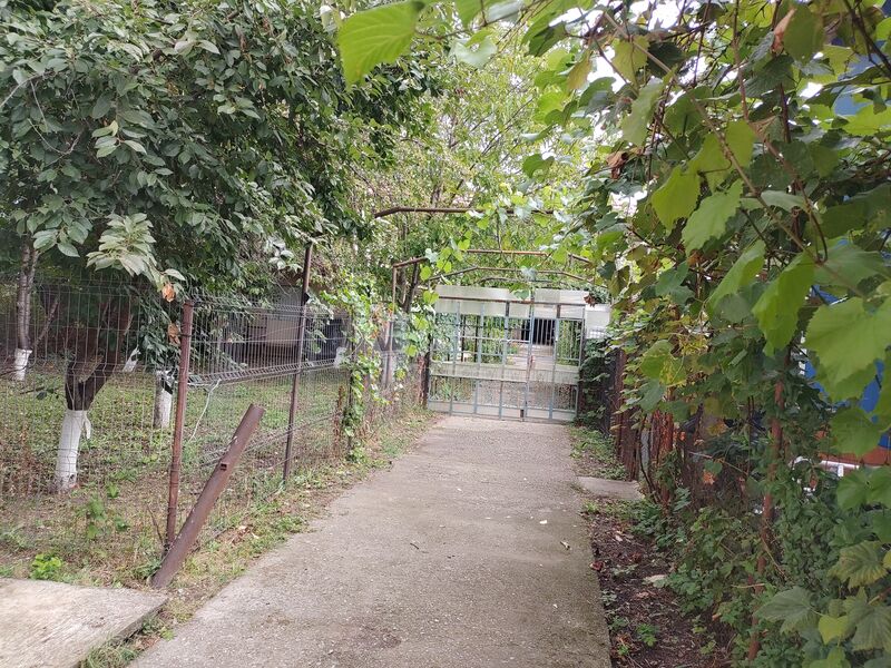 Otopeni, Calea Bucurestilor, casa, 4 camere, curte