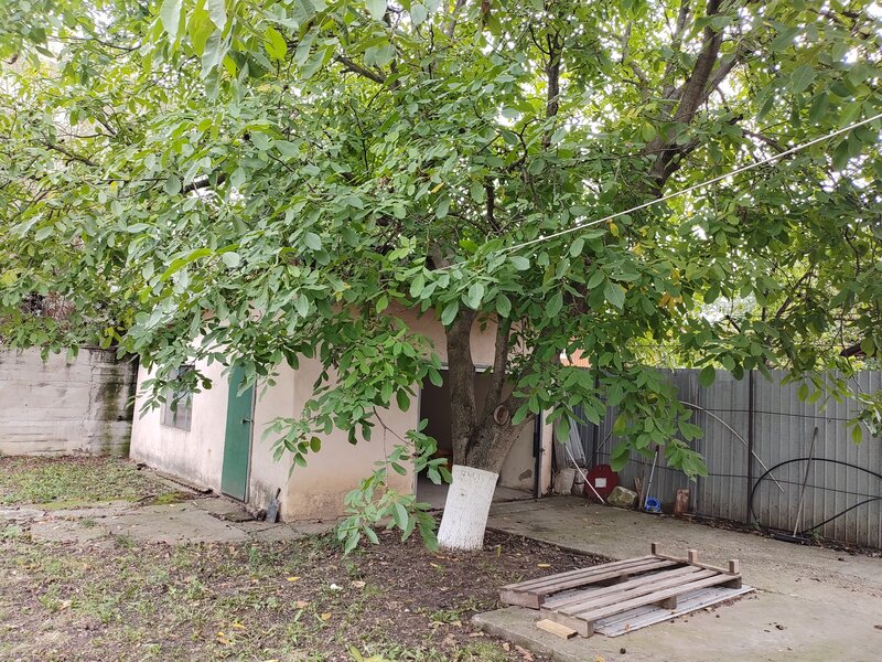 Otopeni, Calea Bucurestilor, casa, 4 camere, curte