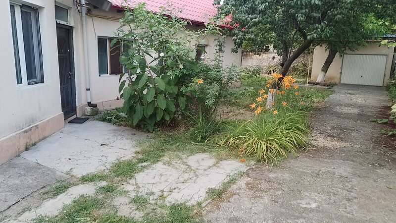 Otopeni, Calea Bucurestilor, casa, 4 camere, curte