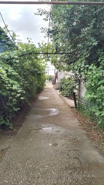 Otopeni, Calea Bucurestilor, casa, 4 camere, curte