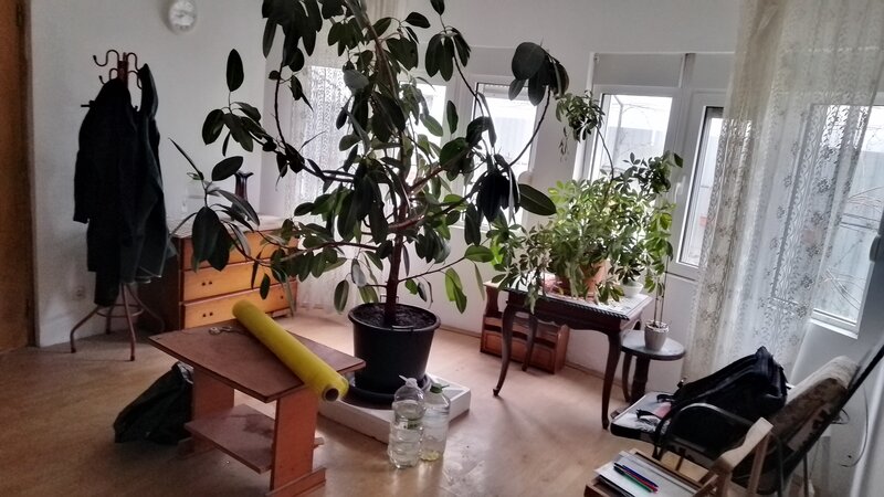 Otopeni, Calea Bucurestilor, casa, 4 camere, curte