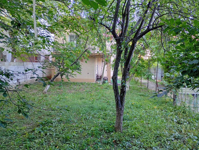 Otopeni, Calea Bucurestilor, casa, 4 camere, curte