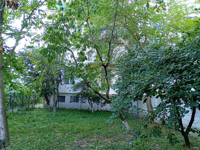 Otopeni, Calea Bucurestilor, casa, 4 camere, curte