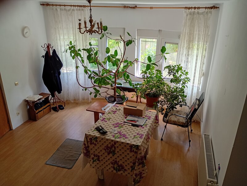 Otopeni, Calea Bucurestilor, casa, 4 camere, curte
