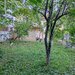 Otopeni, Calea Bucurestilor, casa, 4 camere, curte